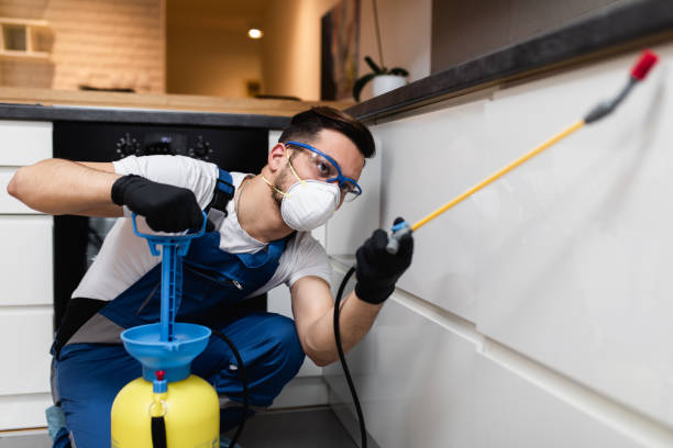 Best Emergency Pest Control  in Morrisville, PA