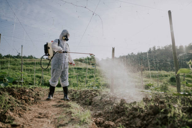 Best Pest Control for Homes  in Morrisville, PA