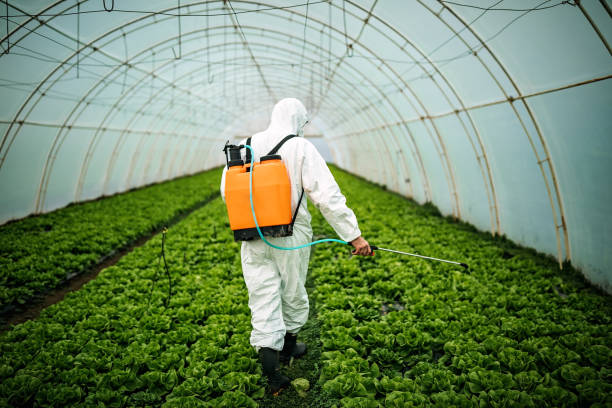 Best Local Pest Control Services  in Morrisville, PA