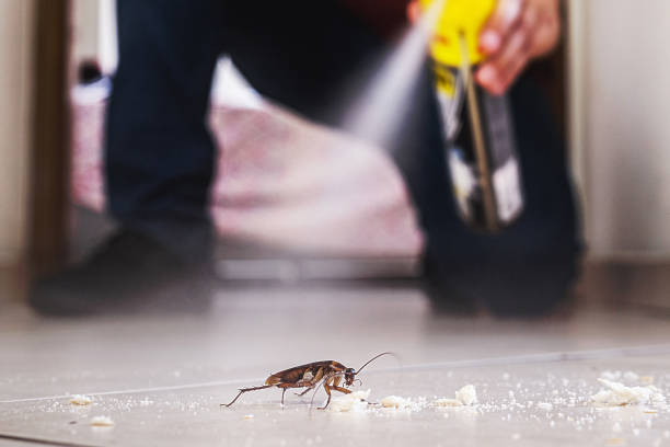 Best Best Pest Control Companies  in Morrisville, PA