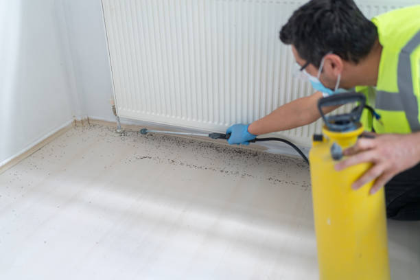 Best Affordable Pest Control Services  in Morrisville, PA